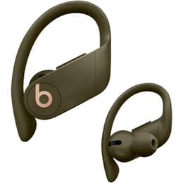 Beats By Dr. Dre Powerbeats Pro Oordopjes - In-Ear Bluetooth