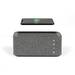 Livoo TES237 Speaker Bluetooth - Grijs