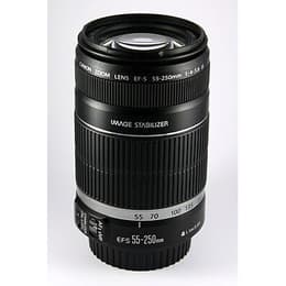 Canon Lens EF-S 55-250mm f/4-5.6 IS