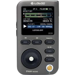 Lotoo PAW 5000 MKII MP3 & MP4 speler 32GB- Zwart/Grijs
